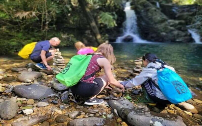 Bach Ma National Park: Day Trek Private Tour - Hoi An/DaNang - An In-Depth Look at the Bach Ma National Park Day Trek
