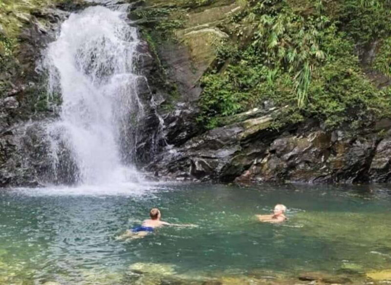 Bach Ma National Park: Day Trek Private Tour - Hoi An/DaNang - FAQs