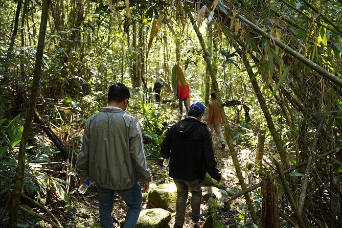 Bach Ma National Park trekking daily tour from Da Nang, Hoi An - Authenticity and Genuine Experiences