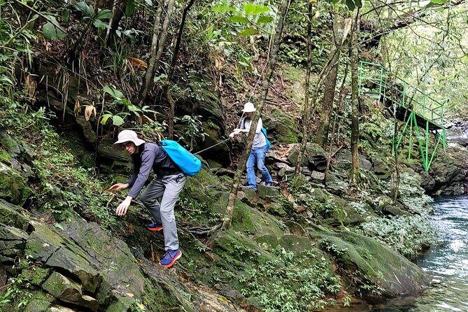 Bach Ma National Park trekking daily tour from Da Nang, Hoi An - The Sum Up