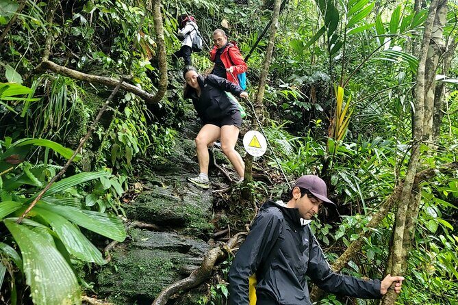 Bach Ma National Park trekking deluxe daily tour from Hue - FAQs