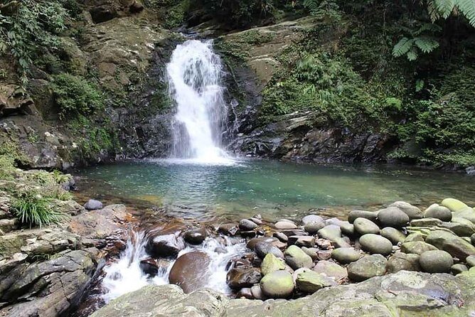 Bach Ma Park via Hai Van Pass Private Full-Day Trekking Tour - An In-Depth Look at the Tour Experience