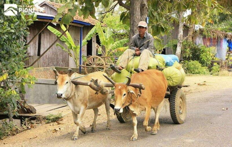 Back to Basics: Siem Reap Village Tour in Cambodia - FAQ