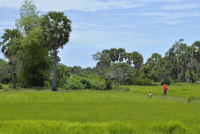 Back to Basics: Village Life Tour from Siem Reap - A Closer Look at the Village Life Experience