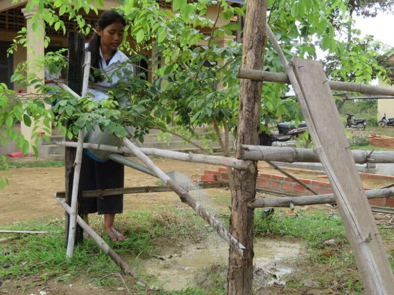 Back to Basics: Village Life Tour from Siem Reap - Who Will Love This Experience?