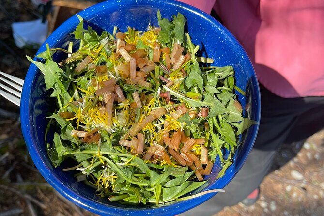 Backcountry Eats & Foraging Treats - Price and Value