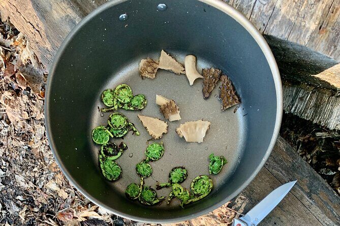 Backcountry Eats & Foraging Treats - Final Words: Who Will Love This?
