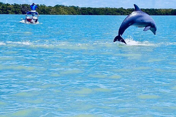 Backwater Adventure's CraigCat Tours of the 10,000 Islands - Practical Tips for Your Trip