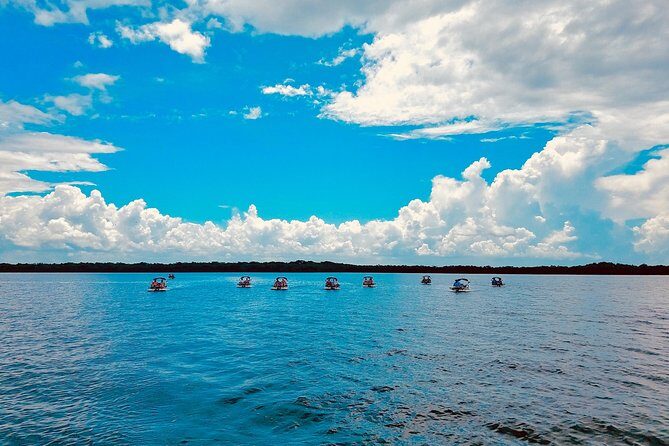Backwater Adventure's CraigCat Tours of the 10,000 Islands - FAQs