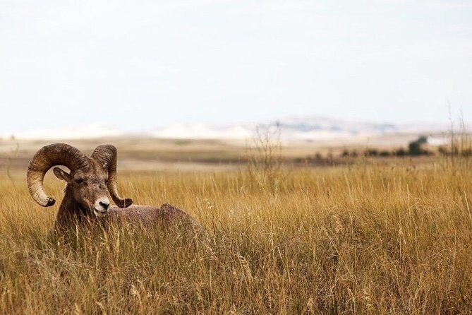 Badlands National Park by Bicycle - Private - Who Should Book This Tour?