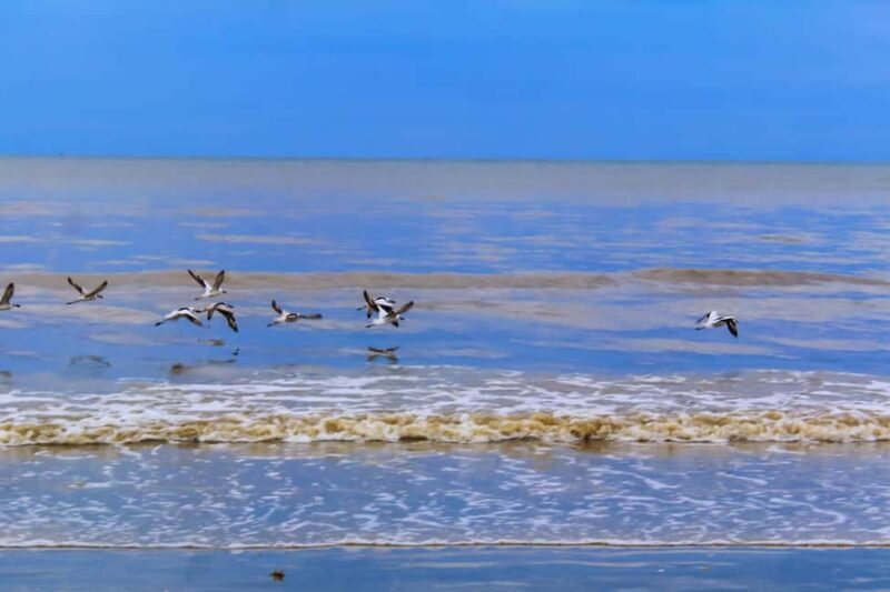 Bagamoyo Day trip from dar es salaam - Exploring Bagamoyo: A Day Trip From Dar es Salaam