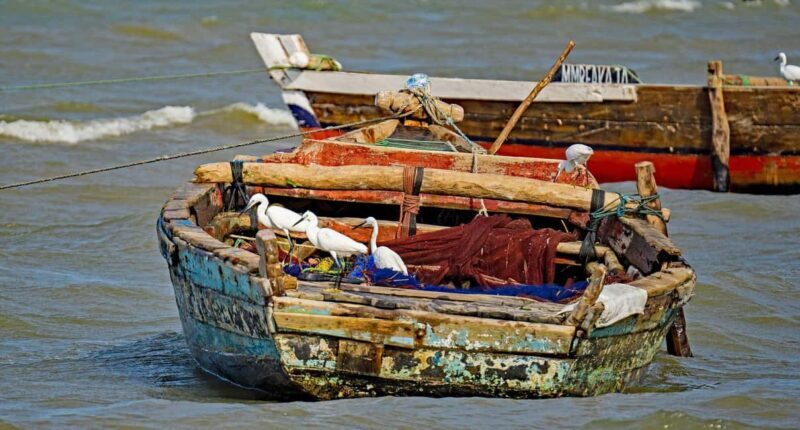 Bagamoyo Day trip from dar es salaam - Key Points