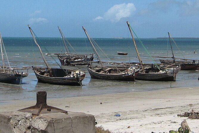 Bagamoyo Historical Tour - Everyday - Who Should Consider This Tour?