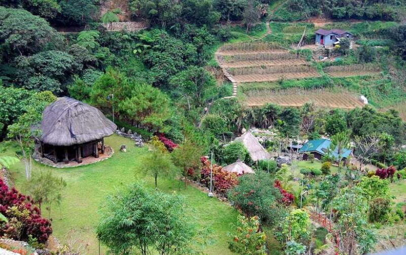 Baguio Whole Day Tour with Lunch (Private Tour) - Who Should Consider This Tour?