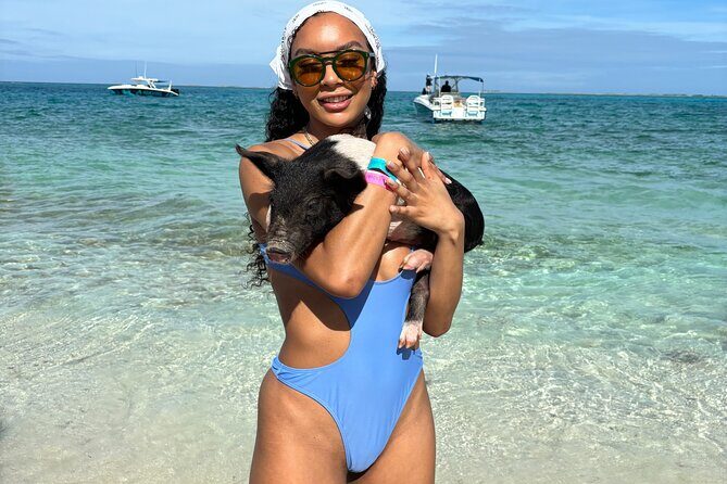 Bahamas Adventure: Pigs, Reef, Turtles, and Beach with Lunch - An Overview of the Bahamas Adventure Tour