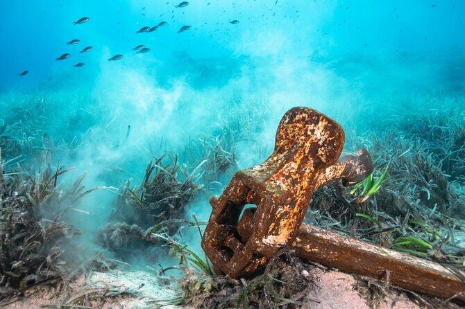 Bahamas on a Semi Submersive Glass Bottom Boat - The Tour Experience: What to Expect
