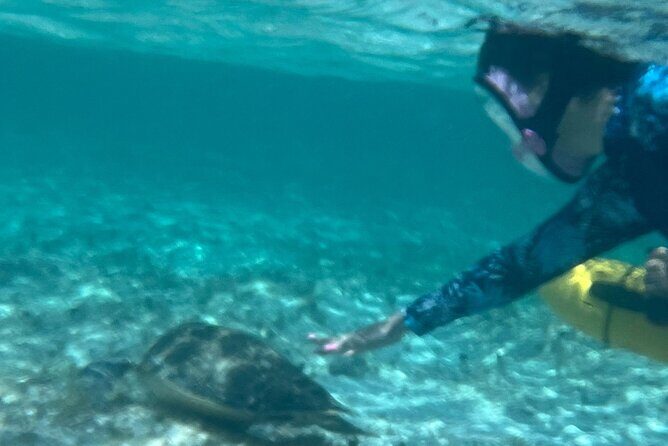 Bahamas Sea Scooter Snorkeling Adventure - Authentic Experiences and Traveler Insights