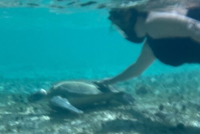 Bahamas Sea Scooter Snorkeling Adventure - The Sum Up