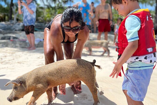 Bahamas Swimming Pigs Experience on Rose Island - Detailed Itinerary and What to Expect