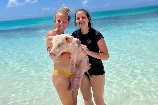 Bahamas Swimming Pigs Experience on Rose Island - The Pros and Cons