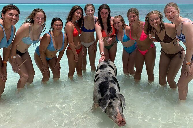 Bahamas Swimming Pigs Experience on Rose Island - Who Should Consider This Tour?