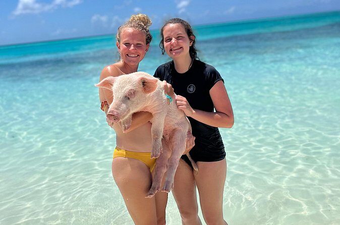 Bahamas Swimming Pigs Experience on Rose Island - FAQ