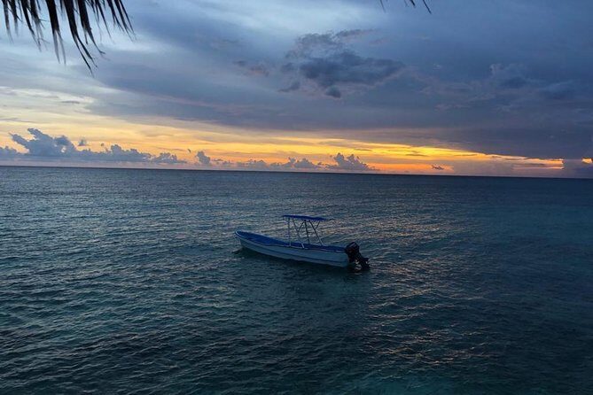 Bahía de las águilas glamping experience from Santo Domingo - Transportation and Group Size