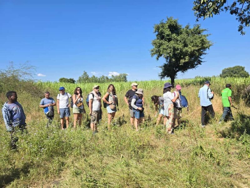 Bahir Dar:2-Day Blue Nile Falls & Lake Tana Monasteries Tour - What Reviewers Say