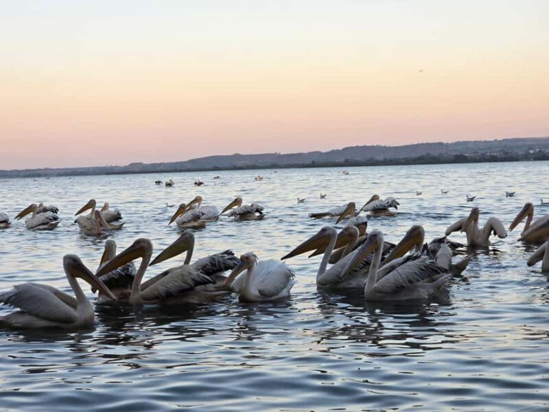 Bahir Dar:2-Day Blue Nile Falls & Lake Tana Monasteries Tour - Who Is This Tour Best For?
