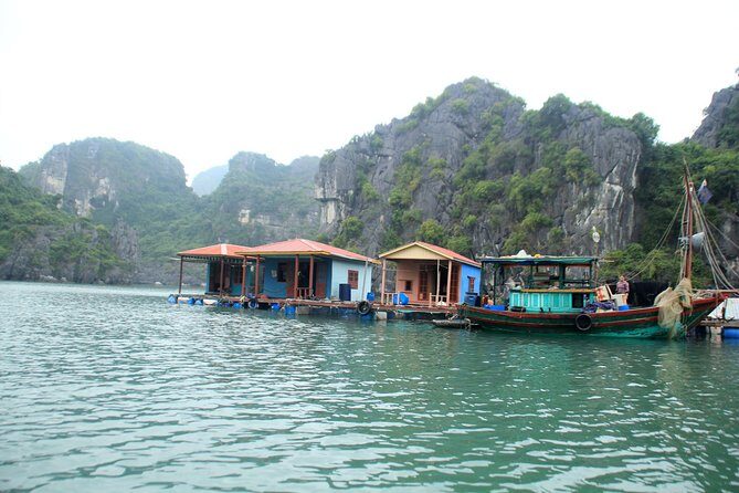 Bai Tu Long boutique & budget cruise 2D: Kayaking, swimming at pristine palaces - The Value of an Intimate, Well-Organized Tour
