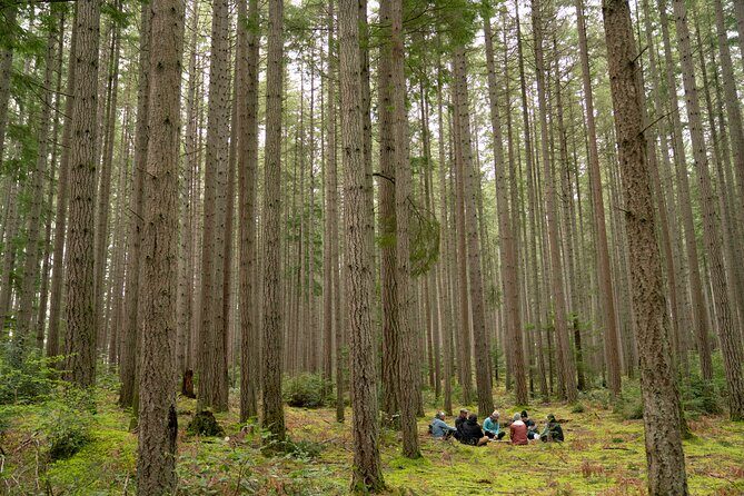 Bainbridge Island Serenity Forest Hike & Cultural Landmarks Tour - Discovering Bainbridge Island Through Its Landmarks and Nature
