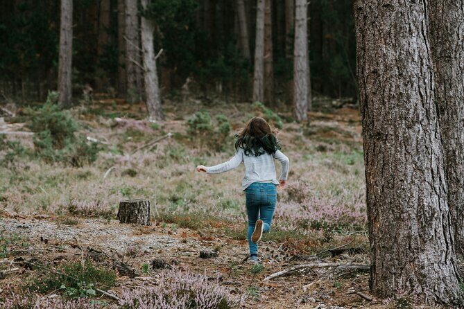 Bainbridge Island Serenity Forest Hike & Cultural Landmarks Tour - FAQ