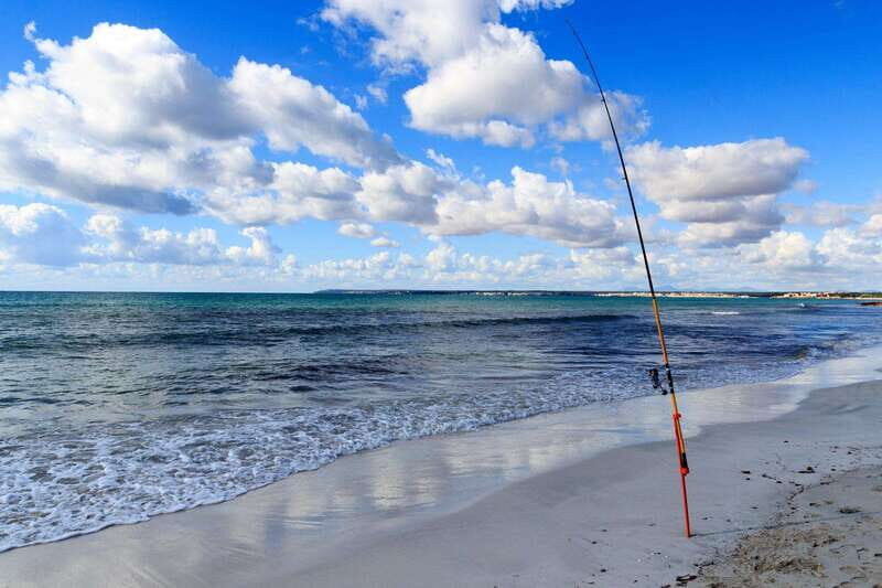 Baja: Adventure Shore Fishing - Explore La Ventana on ATV - Key Points