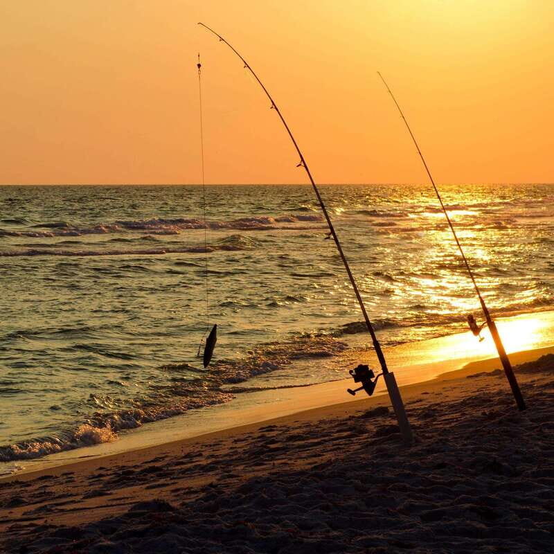 Baja: Adventure Shore Fishing - Explore La Ventana on ATV - Analyzing the Value: Is it Worth It?