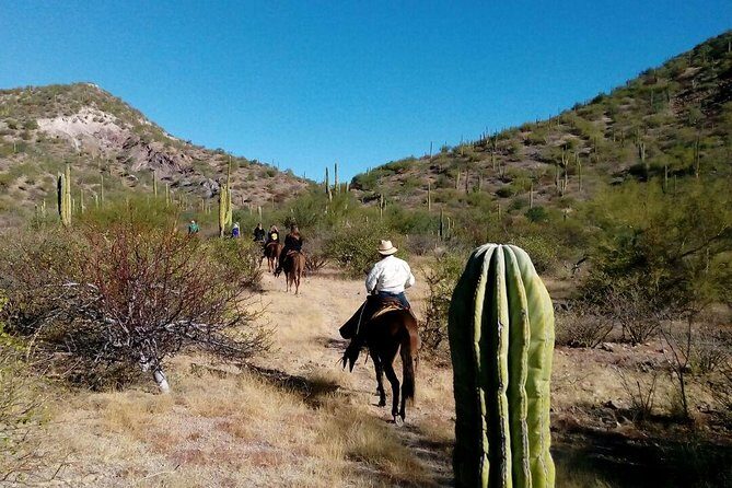Baja Desert Horseback Riding Tour - Key Points