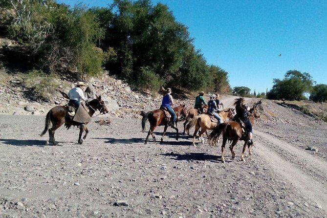 Baja Desert Horseback Riding Tour - A Deep Dive into the Baja Desert Horseback Riding Experience