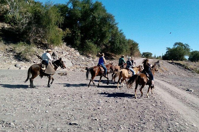 Baja Desert Horseback Riding Tour - The Sum Up