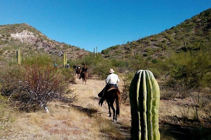 Baja Desert Horseback Riding Tour - FAQ