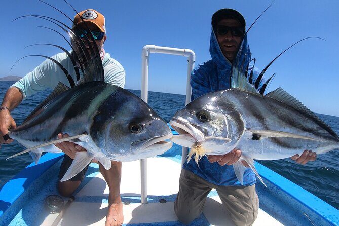 Baja Fishing Dream Roosterfish Dorado Marlin Yellowtail Tuna - Who Should Consider This Tour?