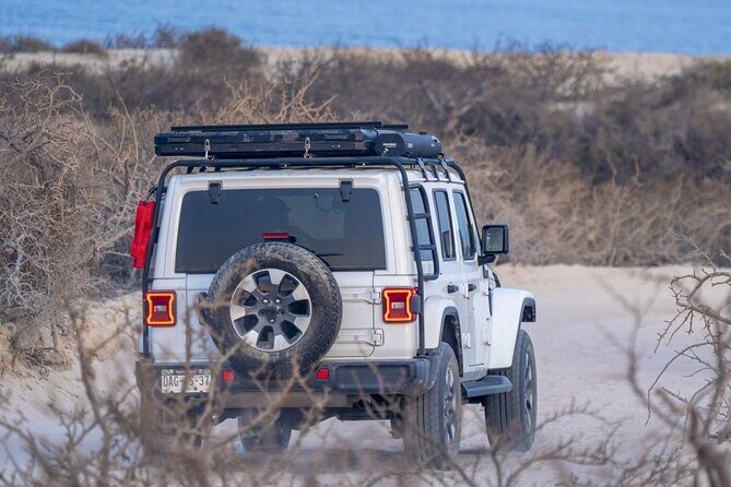 Baja Overland Surf Trip (2 Nights Camp, 3 Days of Surf) - The Value of Included Gear and Services