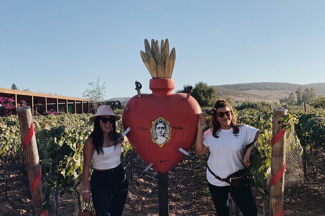 Baja Tour Guide wine tour - Who Will Love This Tour?