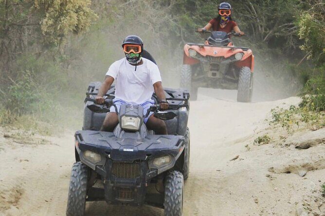 Baja's ATV Desert and Beach Tour - The Sum Up: Why It’s Worth Considering