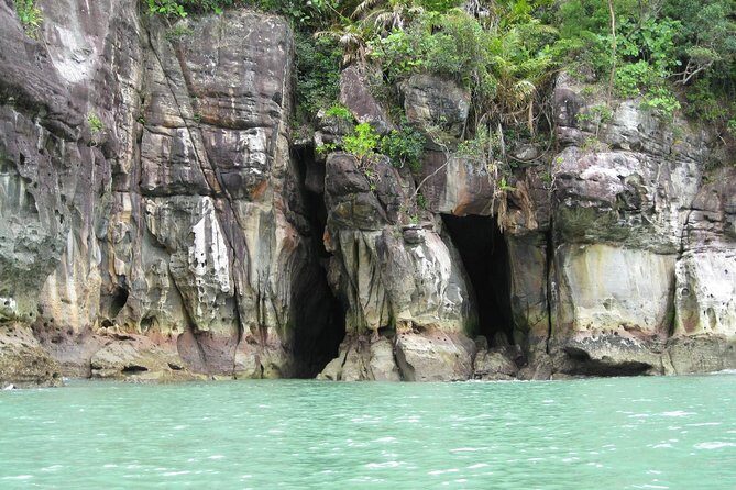 Bako National Park from Kuching City - An Overview of the Bako National Park Experience