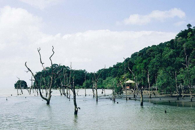 Bako National Park from Kuching City - Authentic Feedback & Real Experiences