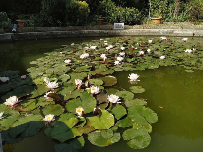 Baku: Fauna and Flora Tour - Who Is This Tour Best For?