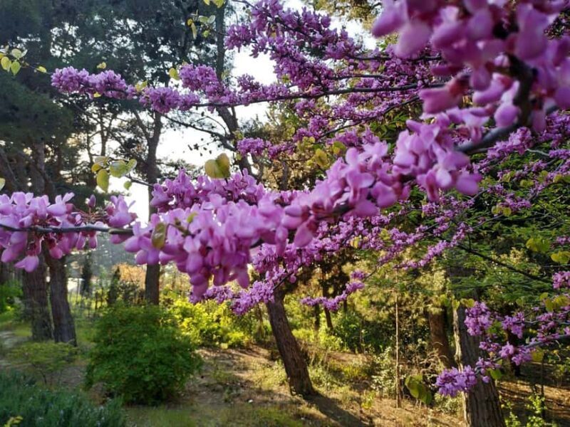 Baku: Fauna and Flora Tour - Final Thoughts