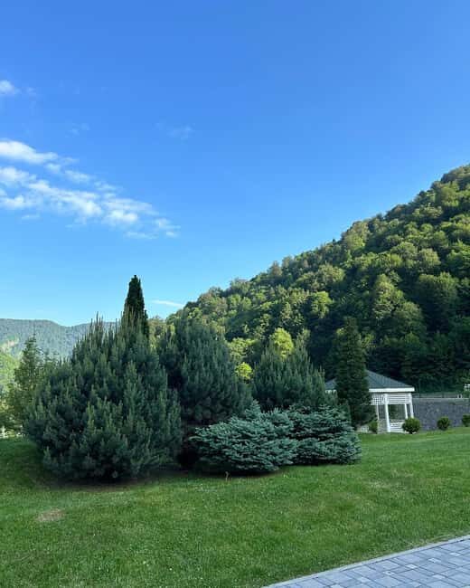 Baku-Gabala-Shamakhi-Tufandag -Nohur lake - Lavender fields - Final Thoughts