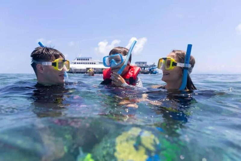 Baku: Snorkeling Tour at Gurgan Lighthouse - An Introduction to the Gurgan Lighthouse Snorkeling Tour