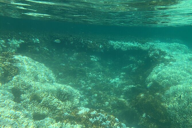 Balandra and Tecolote Beaches Day Trip with Lunch - Authentic Experiences and Real Traveler Insights