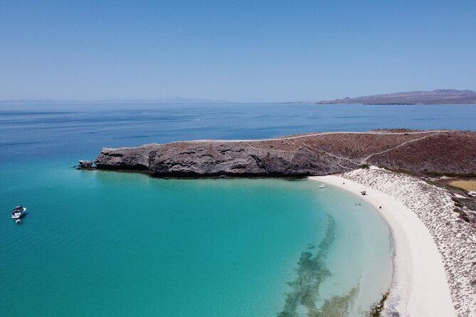 Balandra Bay Private Snorkeling and Sea Lions - An In-Depth Look at the Balandra Bay Private Snorkeling Tour